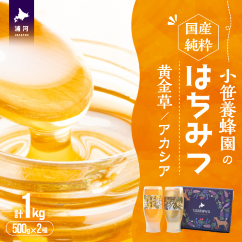 国産純粋完熟はちみつ2種セット(黄金草・アカシア)ご家庭用計1kg[16-1525] 2297574 - 北海道浦河町