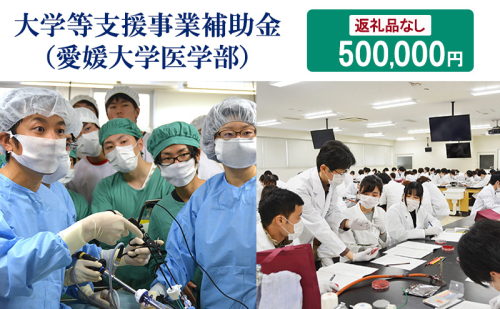 【お礼の品なし】大学等支援事業補助金（愛媛大学医学部）　500,000円 2297656 - 愛媛県東温市