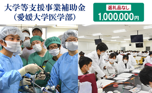 【お礼の品なし】大学等支援事業補助金（愛媛大学医学部）　1,000,000円 2297657 - 愛媛県東温市