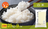 《新米》定期便 米 あきたこまち 令和7年産 白米 25kg(5kg×5) × 9ヶ月 5kg袋 選べる容量 定期 5キロ 9ヶ月 9か月 9回 お米 コスパ こめ コメ kome 潟上市 秋田県 送料無料 【秋田のこまち農場】