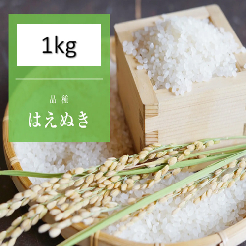 【令和7年産新米】 天日干しの手間をかけた (新米はえぬき) 丹野さん家のコメ 精米 1kg FY25-333 2298060 - 山形県山形市