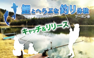鯉と(へらぶな)釣り体験 | 体験 釣り 魚 鯉 へぶらな ふるさと納税 栃木県 那珂川町 送料無料