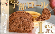 [小麦粉・米粉不使用]宇部ロール お試し チョコクリーム 1個入り[山口県 宇部市 ロールケーキ ケーキ 米 米粉 小麦粉不使用 生クリーム クリーム チョコ チョコクリーム 菓子 お菓子 おやつ 洋菓子 お土産 プレゼント 贈り物 贈呈品 返礼品]