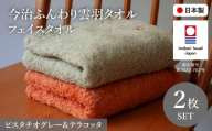 今治ふんわり雲羽タオル フェイスタオルセット(テラコッタ&ピスタチオグレー・各1枚) 【m100-14-C】【トクダ】