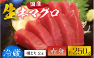 【冷蔵・指定日着可】生本マグロ赤身 約250g 2～3人前 [A-066003] / 国産 まぐろ 鮪 さく 柵どり 冷蔵 真空パック ヘルシー 2人前 3人前 新鮮 刺身 丼