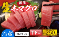 【冷蔵・指定日着可】生本マグロ中トロ 約250g 2～3人前 [A-066005] / 国産 まぐろ 鮪 さく 柵どり 冷蔵 真空パック ヘルシー 2人前 3人前 新鮮 刺身 丼