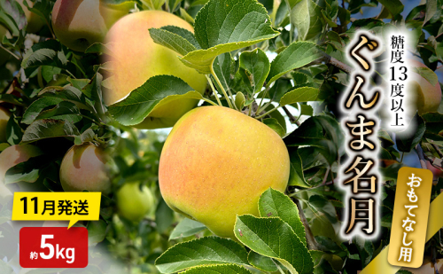 りんご【11月発送】糖度13度以上 ぐんま名月 おもてなし品  約5kg【青森りんご】 2298933 - 青森県鶴田町