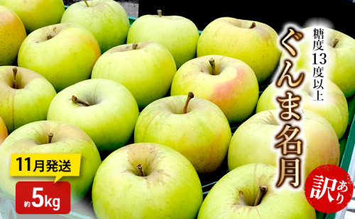 りんご【11月発送】糖度13度以上 訳あり 家庭用 ぐんま名月 約5kg【青森りんご】 2298934 - 青森県鶴田町