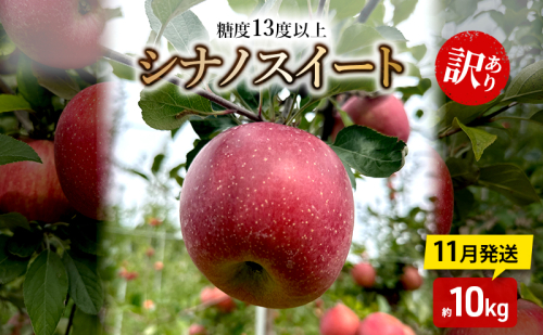 りんご【11月発送】糖度13度以上 訳あり 家庭用 シナノスイート 約10kg【青森りんご】 2298941 - 青森県鶴田町