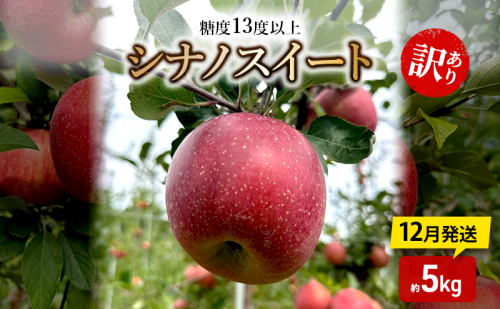 りんご【12月発送】糖度13度以上 訳あり 家庭用 シナノスイート 約5kg【青森りんご】 2298943 - 青森県鶴田町