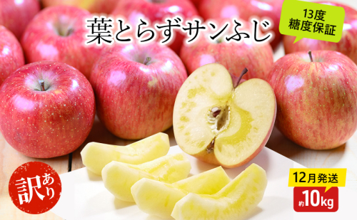 りんご【12月・1月発送】蜜入り 糖度13度以上 訳あり 家庭用 葉とらず サンふじ 約10kg【青森りんご 果物 フルーツ デザート 食後 おやつ 産地直送】 2298946 - 青森県鶴田町