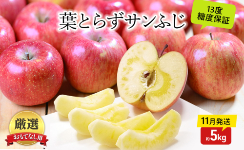 りんご【11月発送】蜜入り 糖度13度以上 おもてなし品  葉とらず サンふじ 約5kg【青森りんご 果物 フルーツ 産地直送 糖度測定 褐変 チェック 贈り物 年末 挨拶 お土産】 2298947 - 青森県鶴田町
