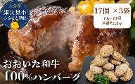 おおいた和牛100%ハンバーグ　約70g×51個　合計約3.5kg　|　津久見市　豊後牛 　惣菜 ハンバーグ 温めるだけ 冷凍 小分け 肉 牛 簡単調理