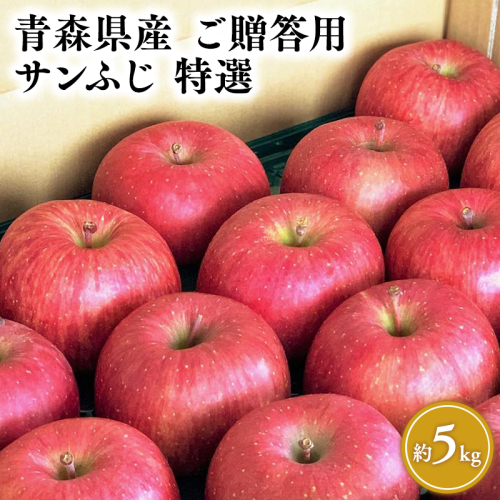 2月発送 【特選】サンふじ5kg【りんご・青森・平川・特選・宮川商店・11月・12月・1月・2月・3月・4月 2299112 - 青森県平川市