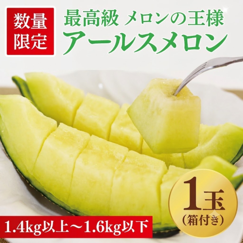 【数量限定】アールスメロン1玉｜青肉・高糖度｜なめらかで上品な甘さ｜メロンの王様｜メロン　ご褒美　デザート　ギフト　益子町　（AA040） 2299122 - 栃木県益子町