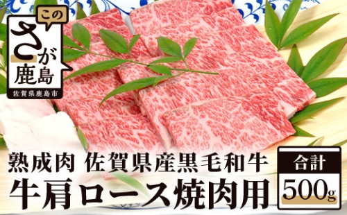 E-49  【熟成肉】佐賀県産黒毛和牛 牛肩ロース 焼肉用 500ｇ
