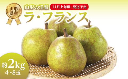 《先行受付》ラ・フランス 約2kg（4～8玉） 【2025年11月上旬頃～発送予定】【山形洋梨】 【001-103】 2300376 - 山形県大江町