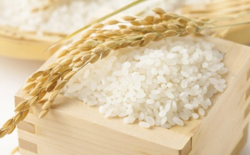 令和7年産 森のくまさん 10kg（ご飯の友付き）米 白米 熊本県 益城町産 【2025年10月上旬より順次発送予定】 2300383 - 熊本県益城町