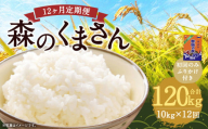 【12回定期便】森のくまさん 10kg (初回 ご飯の友 付き) 計120kg 熊本 米 ふりかけ 御飯の友【2025年10月上旬より1回目の発送予定】