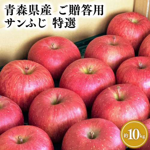 1月発送 【特選】サンふじ10kg【りんご・青森・平川・特選・宮川商店・11月・12月・1月・2月・3月・4月】 2300457 - 青森県平川市