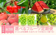 [先行予約]選べるフルーツ定期便 全3回 さくらんぼ 佐藤錦 大玉すいか シャインマスカット 2026年産 令和8年産 ※沖縄・離島への配送不可 ja-ft3cx-b-bu