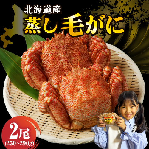 北海道産活蒸し毛蟹約250g～約290g×2尾【er001-108-a】 2301199 - 北海道えりも町