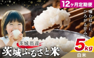 米 茨城 ふるさと米 白米 5kg 5kg×1袋 12回お届け 定期便《お申し込み月の翌々月から出荷開始》茨城県 結城市 米 国産 お米 おこめ お弁当 おにぎり【茨城県共通返礼品】
