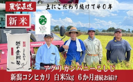 J8-7C056[6ヶ月連続お届け]新潟県長岡産コシヒカリ5kg[「小さな生き物たちと育むお米」認証品]