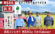 J8-7MC056[6ヶ月連続お届け]新潟県長岡産コシヒカリ無洗米5kg[「小さな生き物たちと育むお米」認証品]