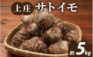 [先行予約][数量限定]上庄サトイモ(土イモ)5kg 農家直送[11月より順次発送予定]