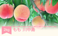 [先行予約] もも 桃 川中島 約2kg ○秀以上 令和8年産 2026年産 果物 ja-moknx2-b