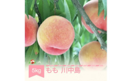 [先行予約] もも 桃 川中島 約5kg 秀品以上 令和8年産 2026年産 果物 ※沖縄・離島への配送不可 ja-moknx5-b