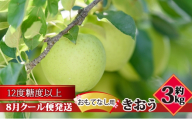 【8月クール便発送】（糖度12度以上）おもてなし用 家庭用 きおう約3kg【 青森りんご】