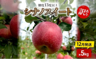 りんご[12月発送]糖度13度以上 訳あり品 家庭用 シナノスイート 約5kg[青森りんご]