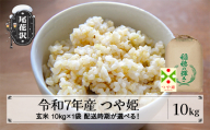 令和7年産 玄米 つや姫 10kg 10kg×1袋 2025年産 米 お米 国産 山形県 尾花沢市 kh-tsgxa10