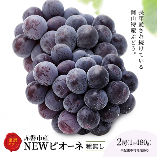 ぶどう 2026年 先行予約 ピオーネ 2房 1房約480g 化粧箱入り 岡山県 赤磐市産 果物 フルーツ 葡萄 ブドウ 2301884 - 岡山県赤磐市