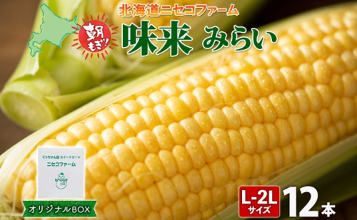 【 2026年 先行予約 】 北海道産 とうもろこし 味来 計12本 L-2L サイズ混合 大きめ みらい 旬 朝採り 新鮮 トウモロコシ 甘い 夏野菜 ハウス栽培 ハウス とうきび お取り寄せ 産地直送 野菜 しりべしや 送料無料 2301953 - 北海道倶知安町