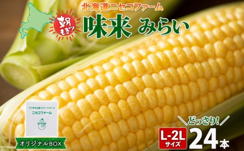 【 2026年 先行予約 】 北海道産 とうもろこし 味来 計24本 L-2L サイズ混合 大きめ みらい 旬 朝採り 新鮮 トウモロコシ 甘い 夏野菜 とうきび  ハウス栽培 ハウス お取り寄せ 産地直送 野菜 しりべしや 送料無料 2301954 - 北海道倶知安町