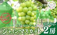 【2026年先行受付】【きよとうファーム】シャインマスカット 特大２房入/計1.3kg~ (岡山県産) KF-W014-02 ぶどう マスカット 真庭市