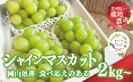 【2026年先行受付】【きよとうファーム】シャインマスカット3～5房/計2kg~ (岡山県産) KF-W016-02 ぶどう マスカット 真庭市