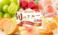 [フルーツ定期便・全6回]品質に自信あり!くしがきの里から直送 厳選した果物を最高のタイミングでお届け♪ / 定期便 桃 もも みかん 柑橘 シャインマスカット マスカット いちご 不知火 はれひめ イチゴ 苺 果物 フルーツ 6回