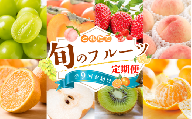 [フルーツ定期便・全9回]品質に自信あり!くしがきの里から直送 人気の果物を贅沢に楽しめる♪ / 定期便 桃 もも みかん 柑橘 シャインマスカット ぶどう 柿 キウイ マスカット いちご 不知火 はれひめ イチゴ 苺 果物 フルーツ 9回