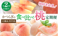 桃好き必見!かつらぎの自慢の桃 白鳳&川中島 食べ比べセット 各約2kg 〜全2回お届け〜/ 和歌山県 かつらぎ町 定期便 桃 もも 果物 フルーツ 2回