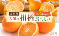 [柑橘堪能定期便]人気の3種を食べ比べ♪(はれひめ・紅はっさく・不知火) / 和歌山県 かつらぎ町 定期便 みかん 柑橘 果物 フルーツ 3回