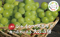 【2026年先行受付】【きよとうファーム】シャインマスカット 上級品 大3-5房/計2.4kg~ (岡山県産) KF-W072-01 ぶどう マスカット 真庭市