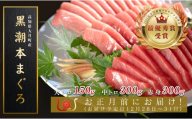お正月 贅沢 本マグロ お刺身 3種セット 750g  国産 養殖 黒潮本まぐろ｜マグロ 本マグロ 鮪 本まぐろ 赤身 中トロ 大トロ トロ 食べ比べ おせち 年末年始 お歳暮 ごちそう 刺身 海鮮 高級 最優秀賞 高知県 大月町