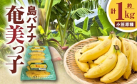 島バナナ 奄美っ子（小笠原種） 約1kg（500g×2P）　A037-033
