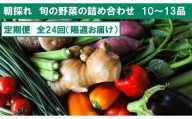 『定期便 全24回』【隔週お届け】朝採れ旬の野菜の詰め合わせ | 野菜セット セット 野菜定期便 新鮮 野菜 毎月  人気 おすすめ 高知県 南国市