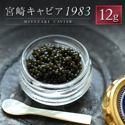 宮崎キャビア1983 計12g 贈答品 高級 魚卵 国産【D152】 2302544 - 宮崎県新富町