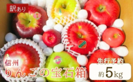 【2025年先行予約】訳あり りんご 園主におまかせ 詰合せ 計約5kg（10~18玉）りんごの宝石箱 産地直送 シナノスイート シナノゴールド 秋映 あいかの香り 群馬名月 王林 紅玉 シナノホッペ サンふじ 千曲市 長野県 信州